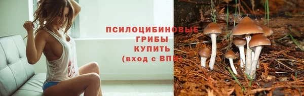 метадон Козловка