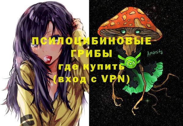 метадон Козловка