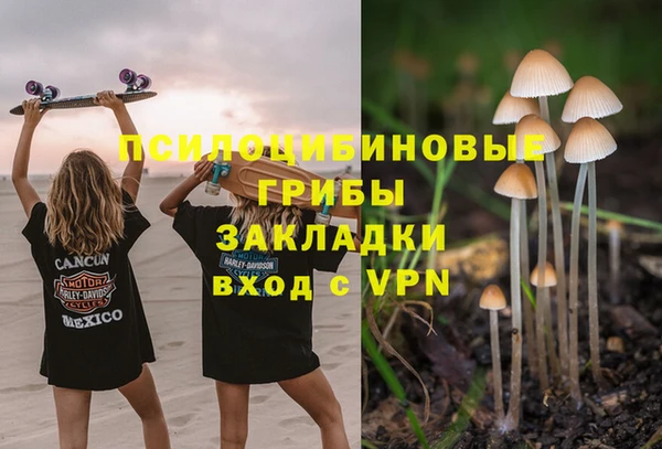 ешки Кодинск