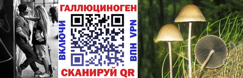 Галлюциногенные грибы Psilocybe Майский