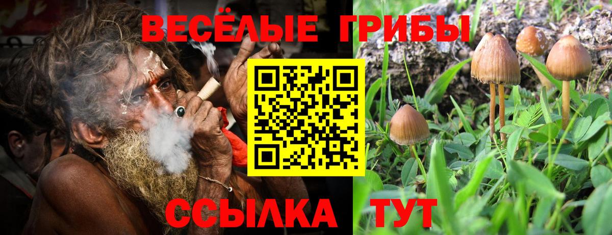 Галлюциногенные грибы Magic Shrooms  Вход с VPN  Майский  Псилоцибиновые грибы прущие грибы 