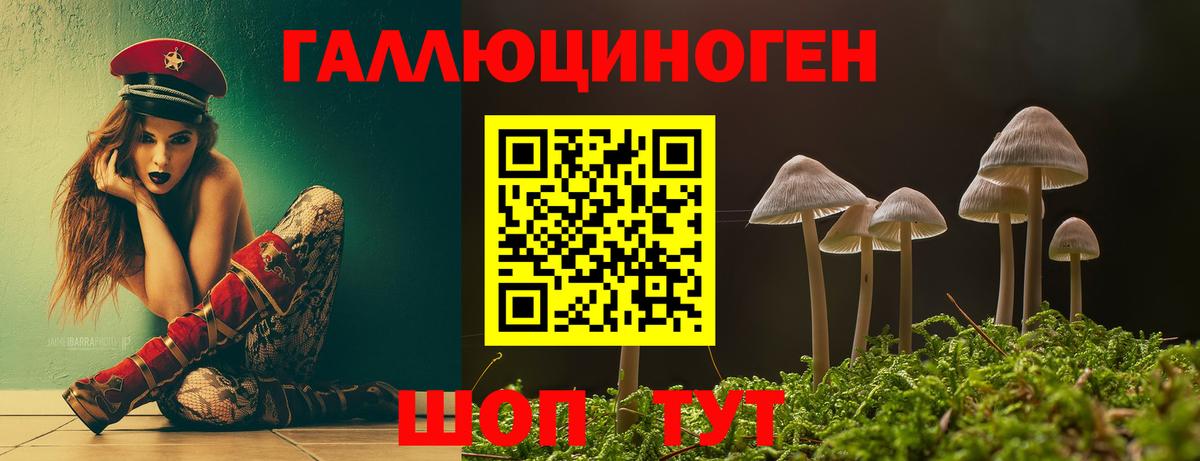 Псилоцибиновые грибы Cubensis Майский
